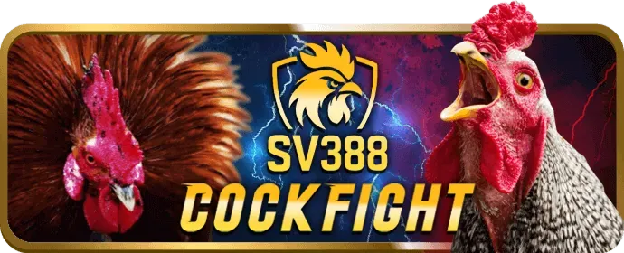 Sân bóng rổ, vợt tennis và người chơi esports trên ứng dụng 999bet